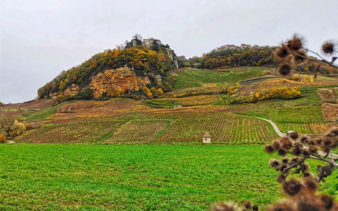 Le Jura, entre vins et nature
